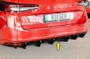 Rieger Heckeinsatz